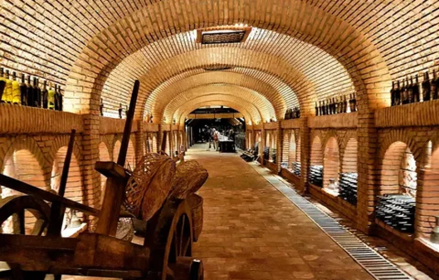 4 Types of Wine Degustation with Georgian Master Classes in Kvareli Wine Cave