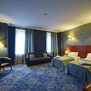 Standard King Size/Twin Room – Included Breakfast