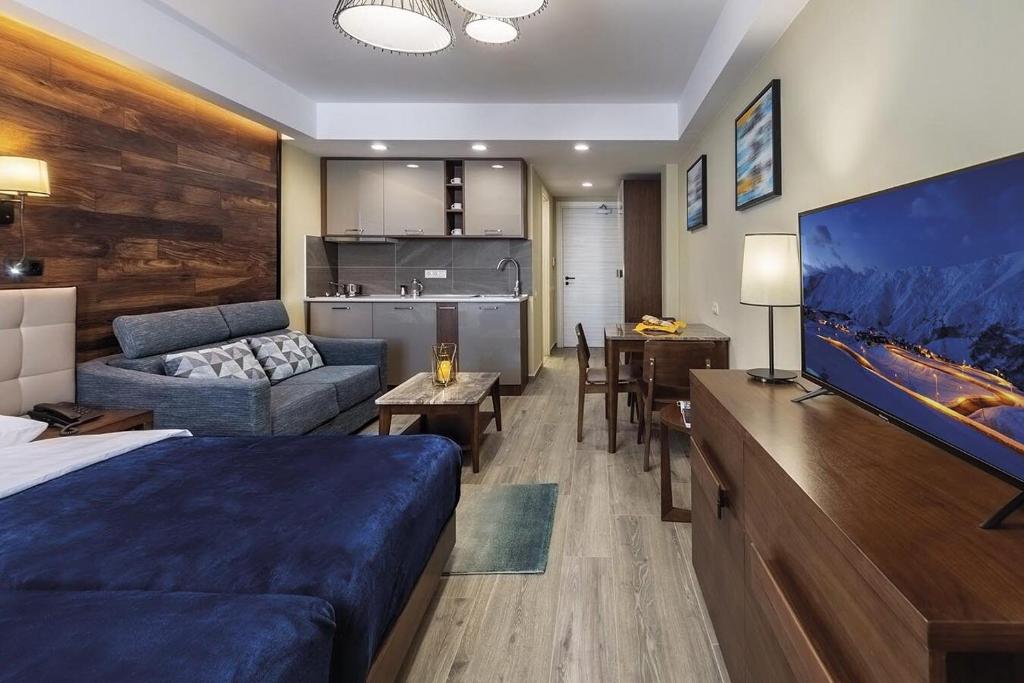 Studio Apartment – Room Only